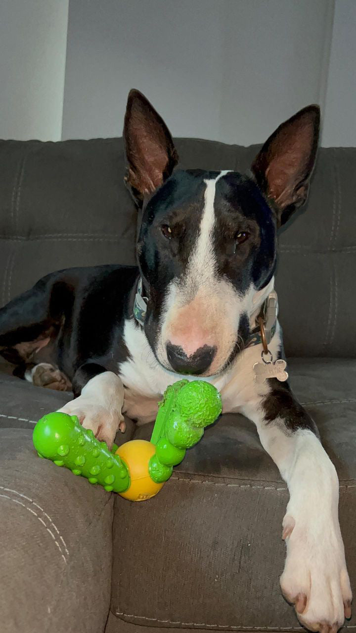 Extreme Chewer Toys