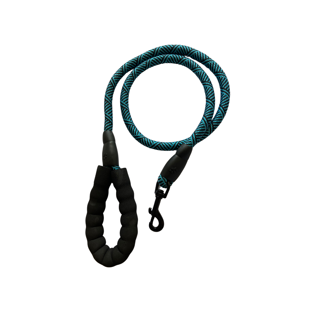 Rope Lead - Blue