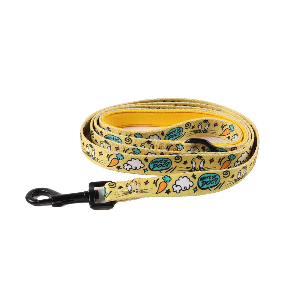 Leads, Collars & Harnesses