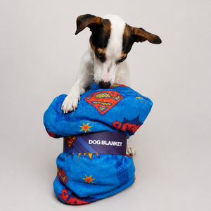 Superman Blanket