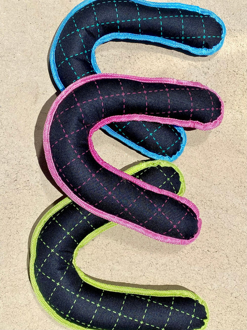 Boomerang Frisbee