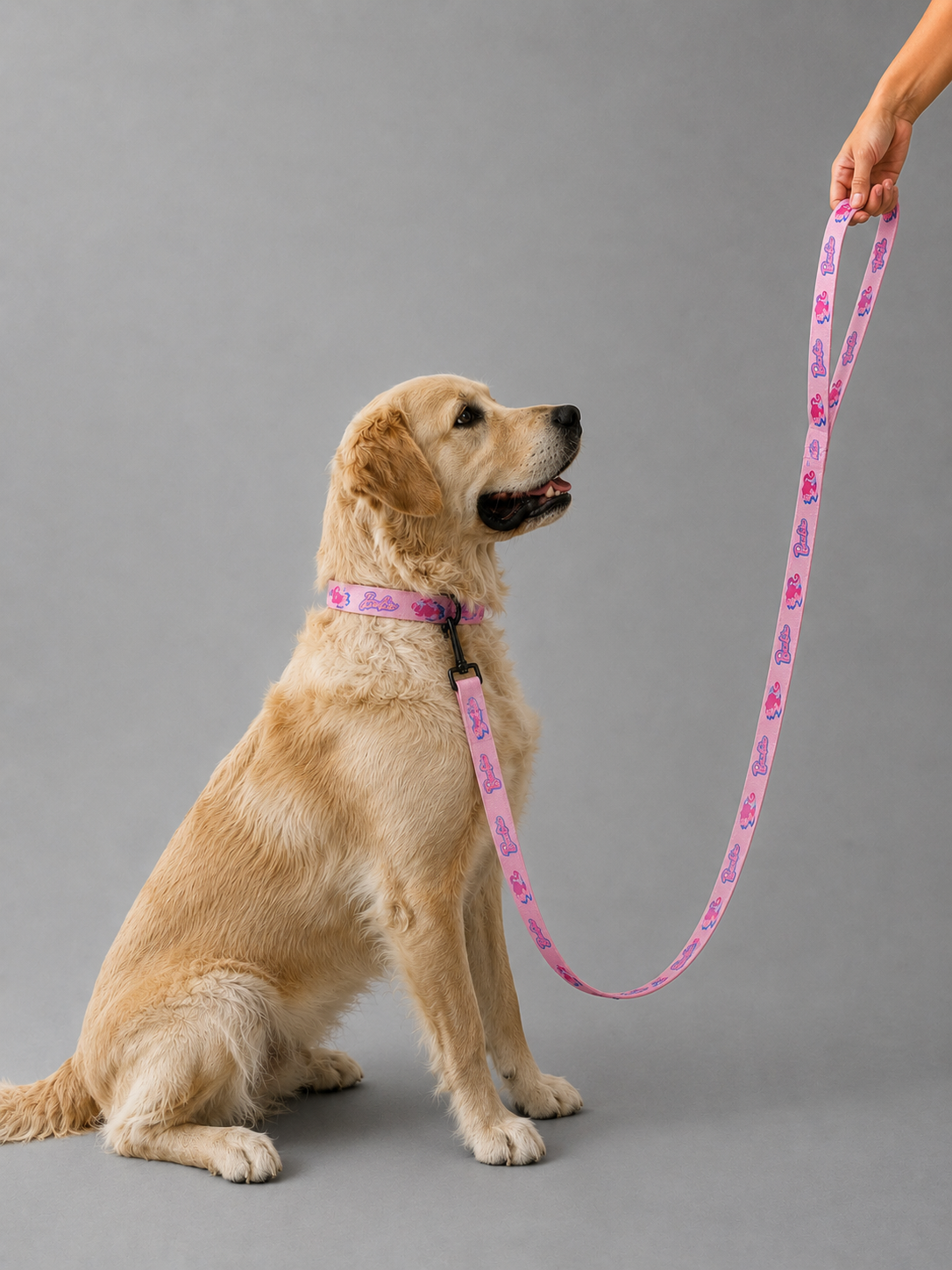 Barbie Pet Lead