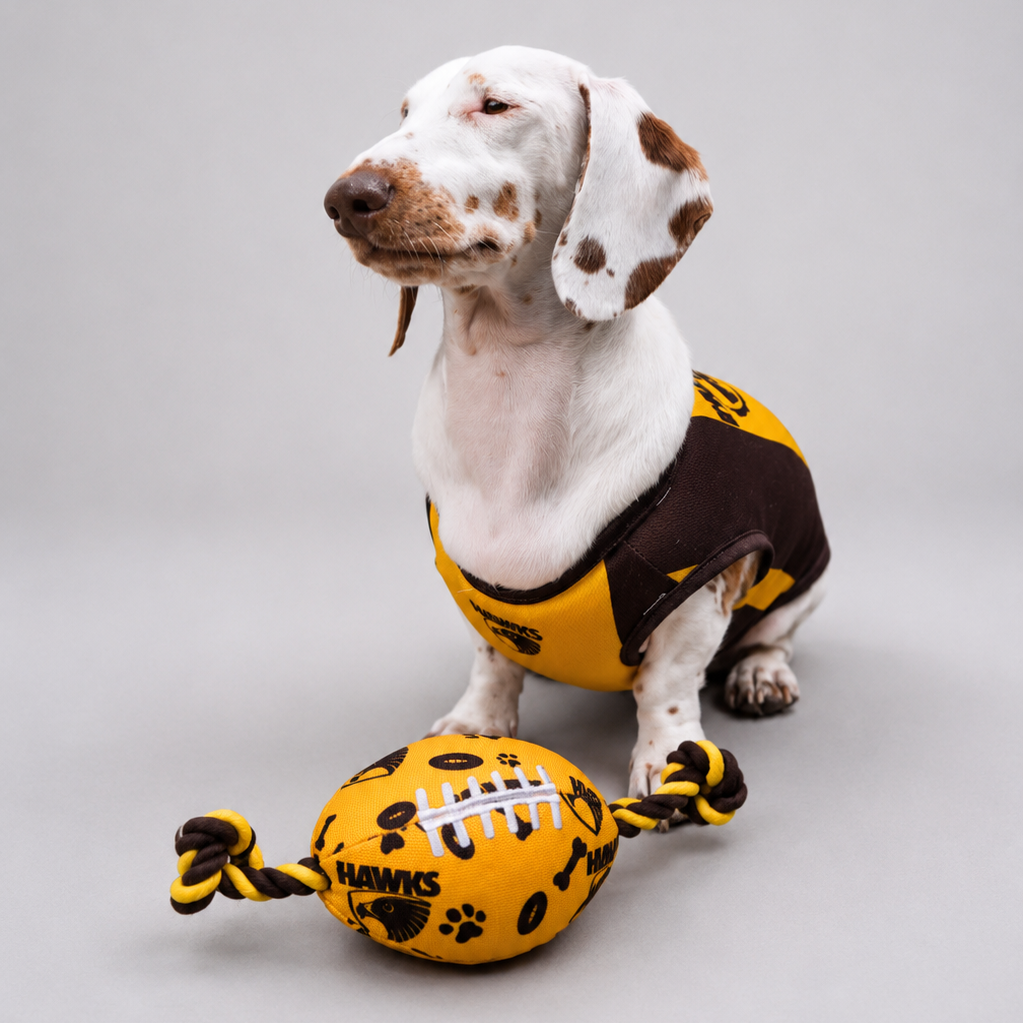 AFL Chew Toy