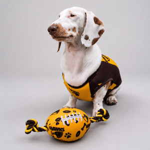AFL Chew Toy