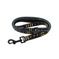 Batman Lead