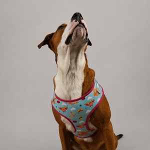 Wonder Woman Harness