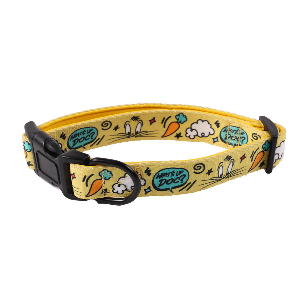 Looney Tunes Collar