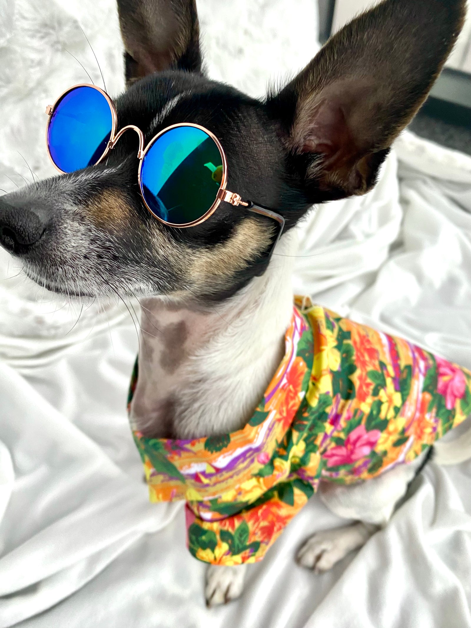 Hawaiian Sunset Shirt