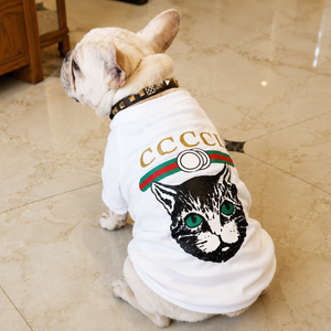 Catucchi Sweatshirt