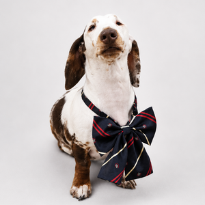 Dogwarts Bow Ties