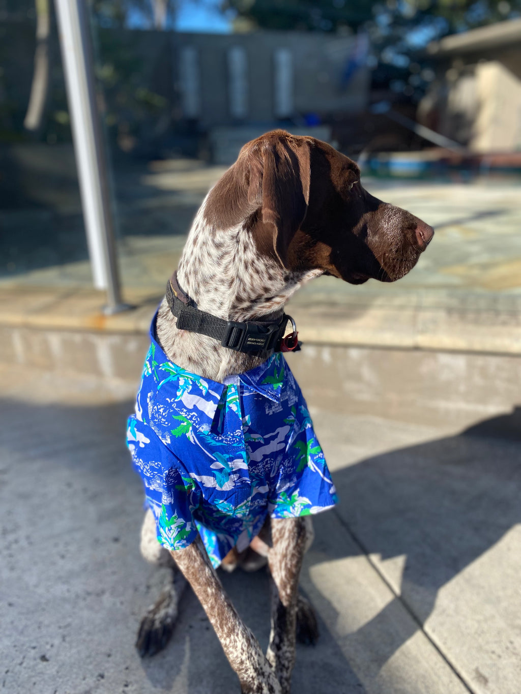 Hawaiian Blue Shirt