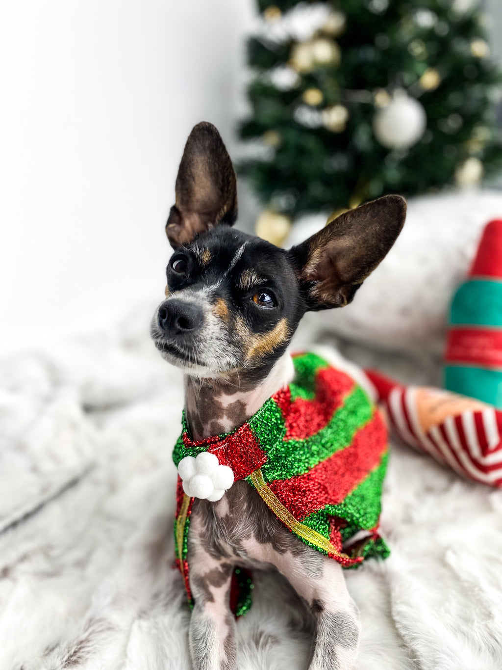 Pet Christmas Cape