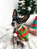 Pet Christmas Cape
