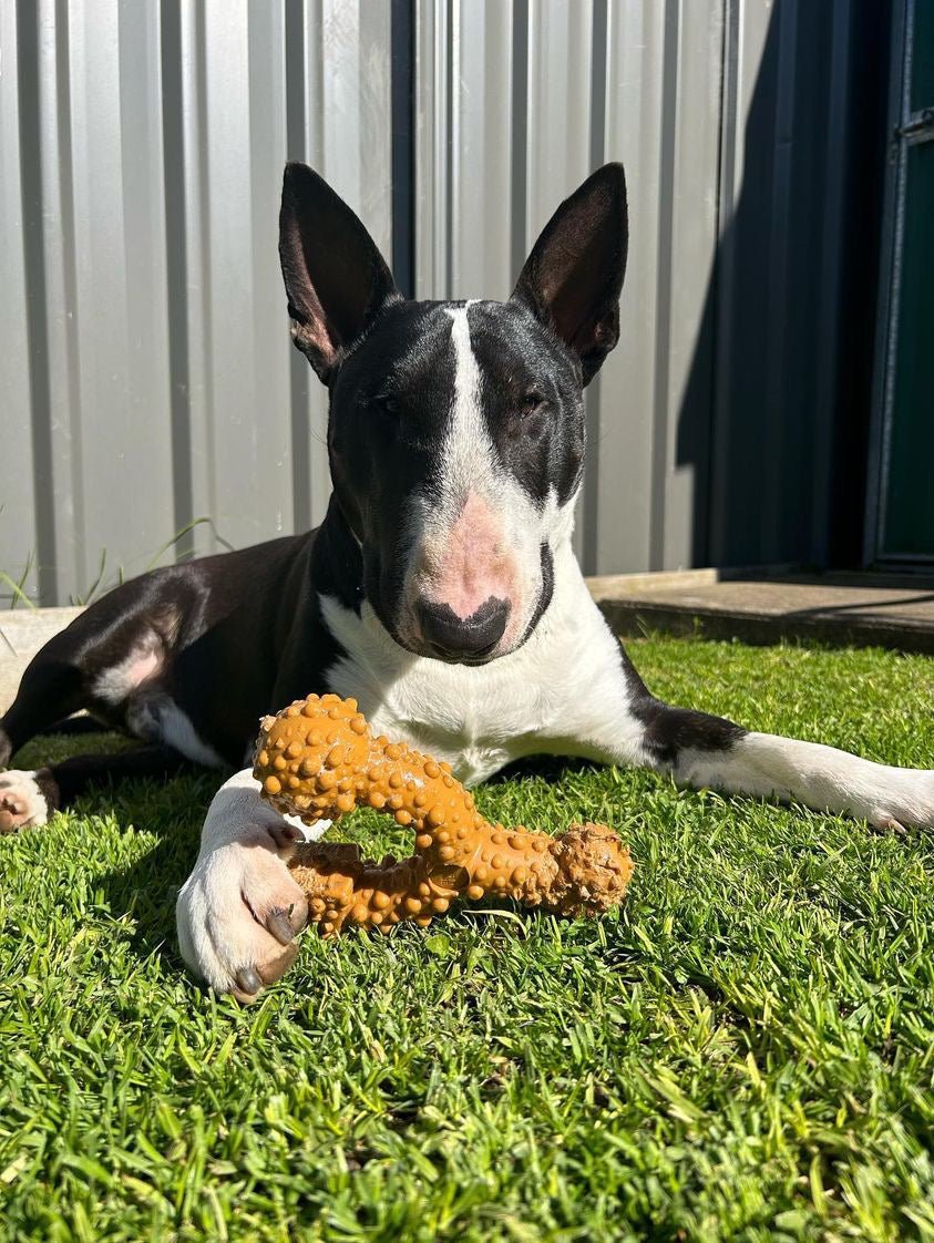 Tasty Bone Nylon Trio