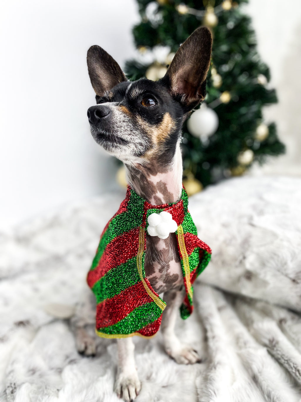 Pet Christmas Cape