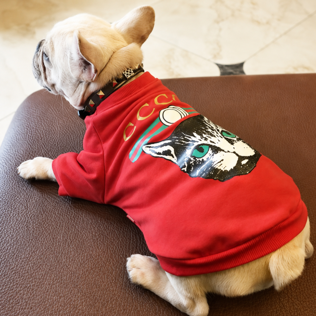 Catucchi Sweatshirt