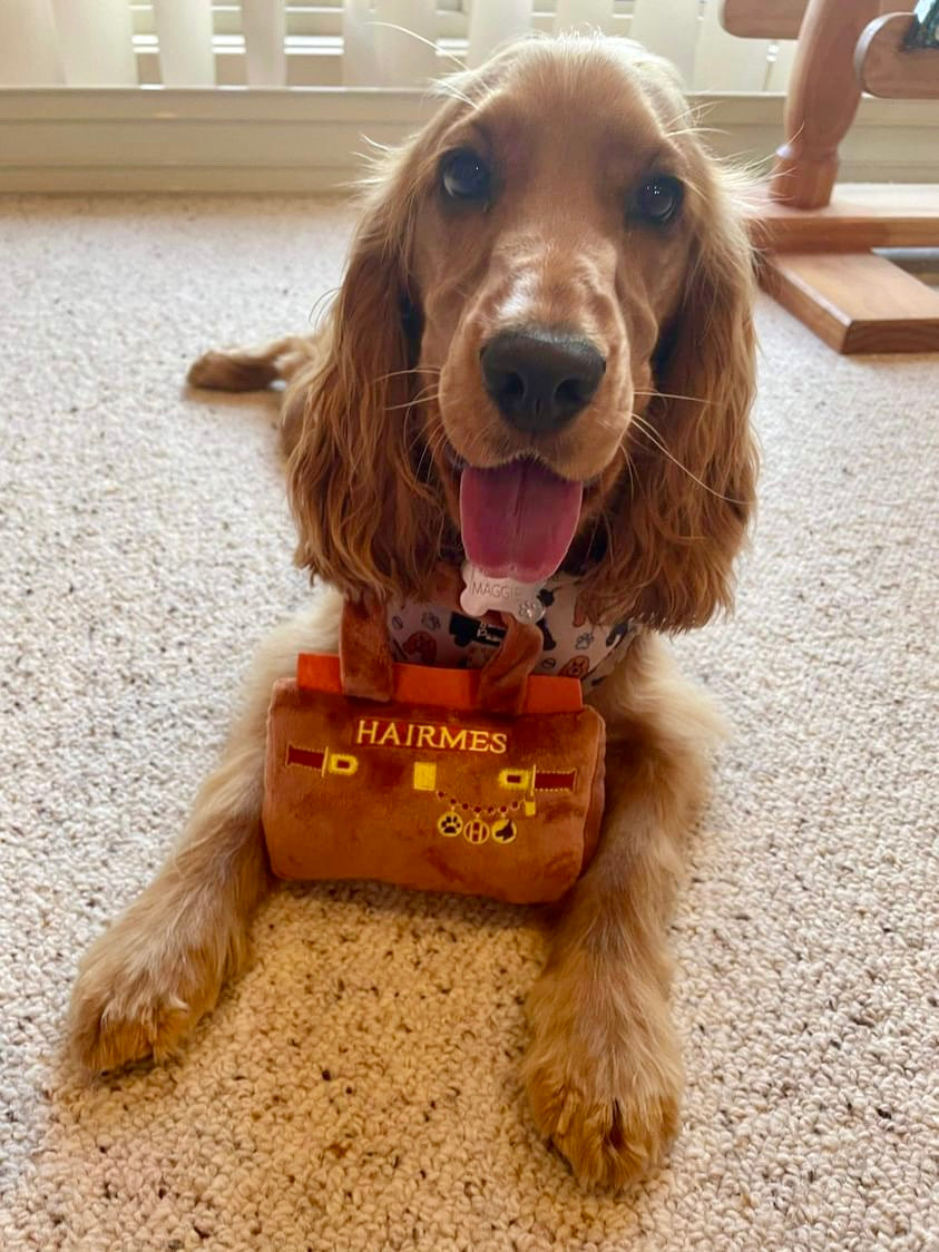 Hairmes Purse Toy