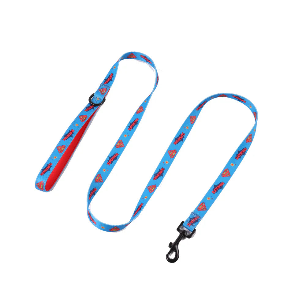 Superman Lead