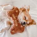Chewy Vuiton Toy Bone