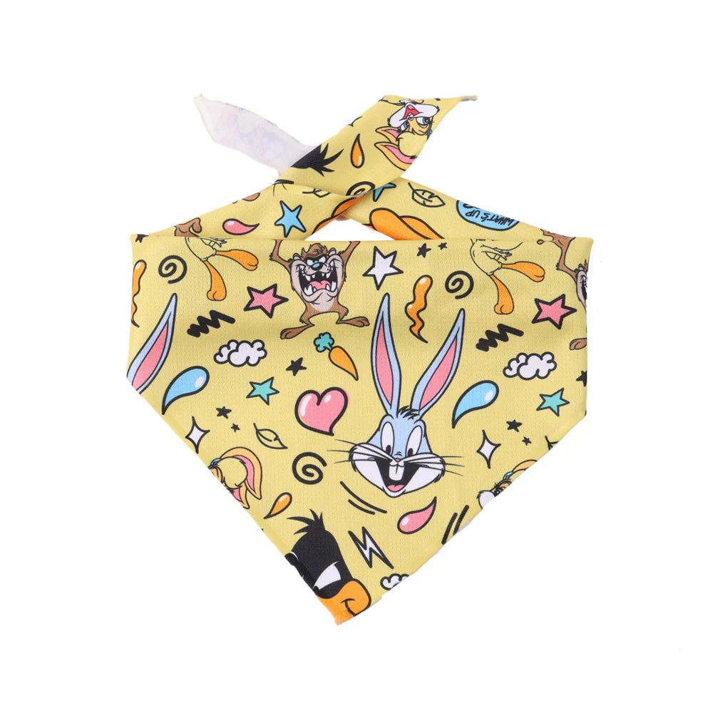Looney Tunes Bandana