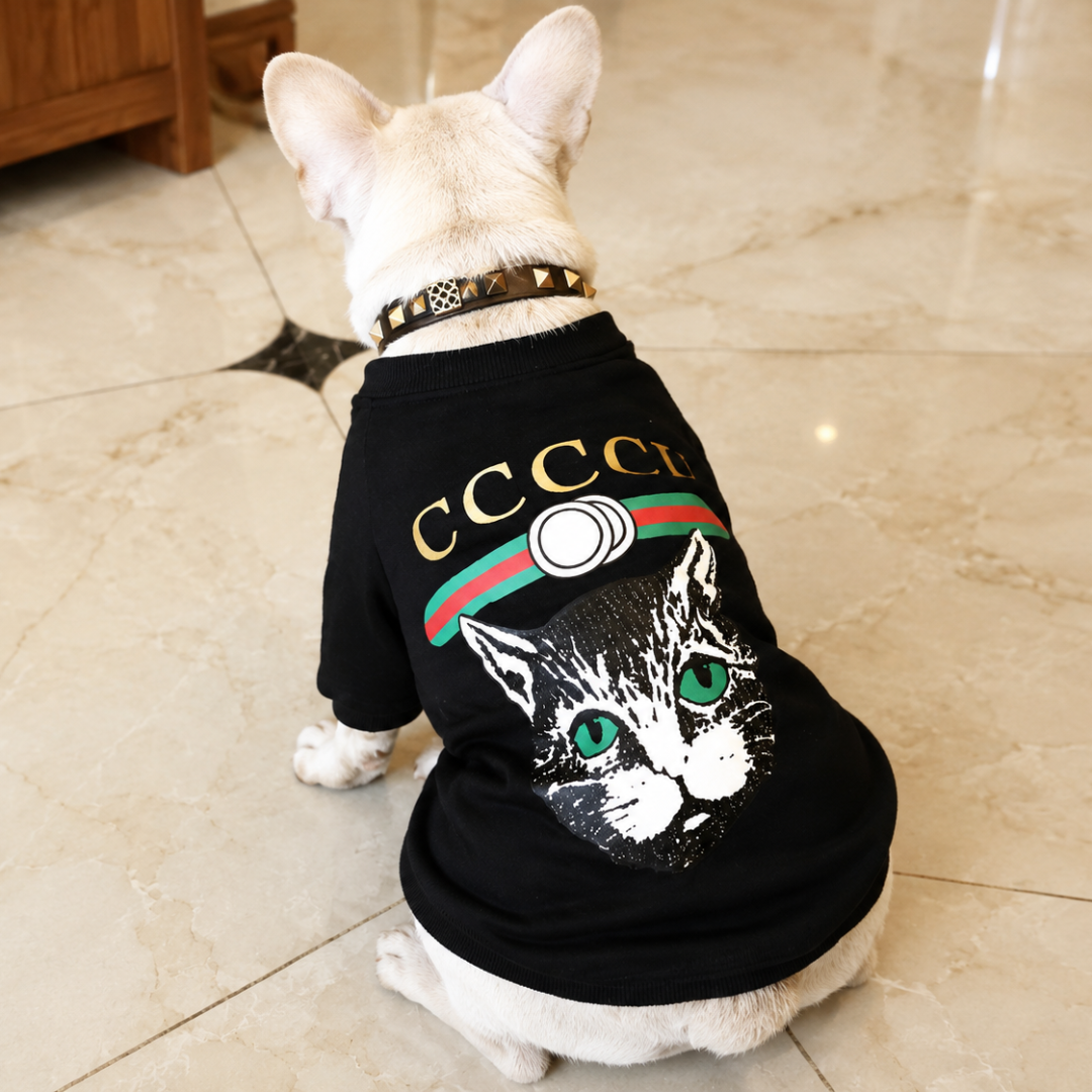 Catucchi Sweatshirt