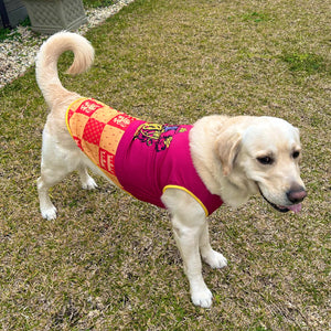 Harry Potter Gryffindor Dog Jersey