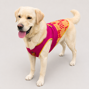 Harry Potter Gryffindor Dog Jersey