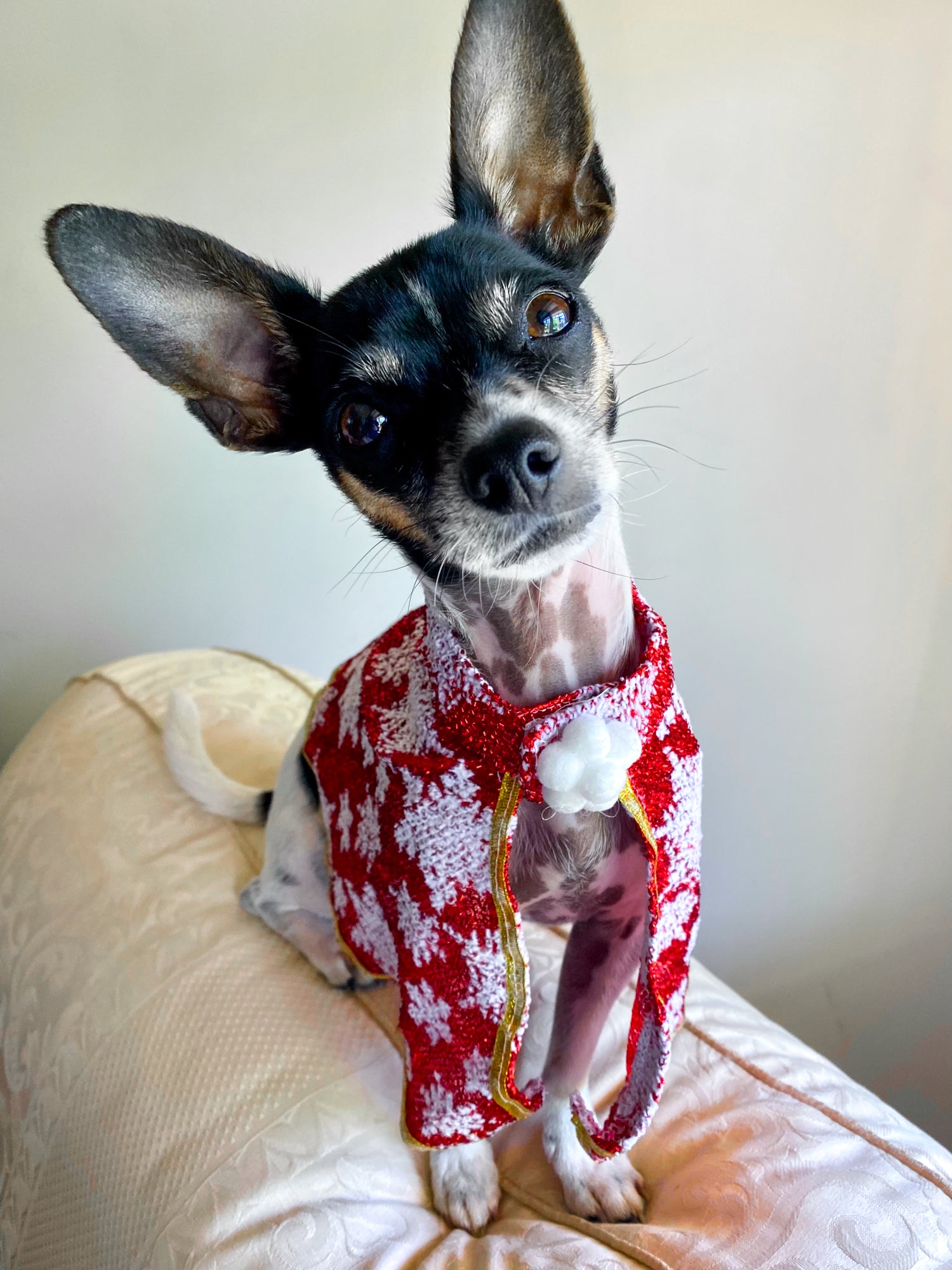 Pet Christmas Cape