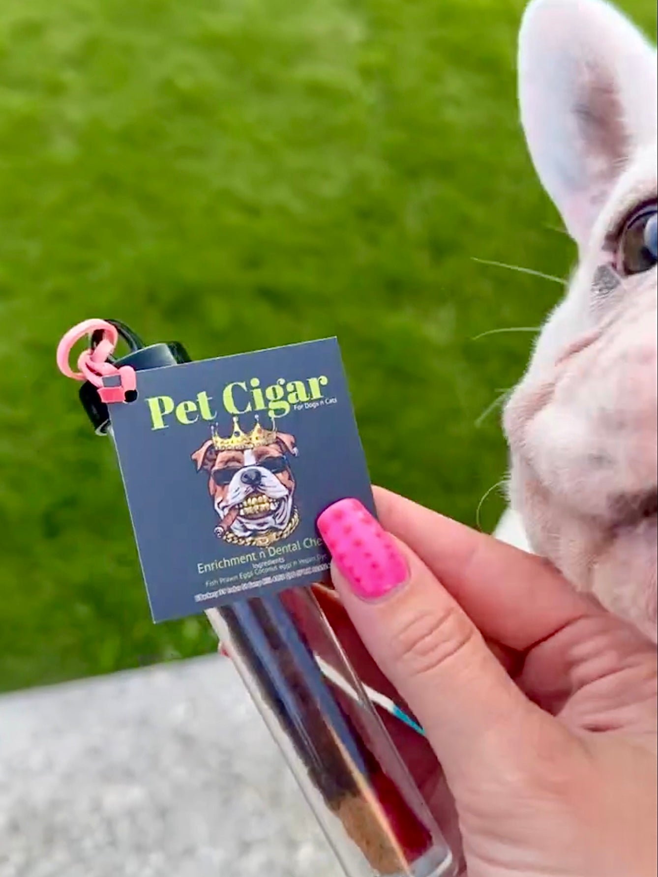 Pet Cigar