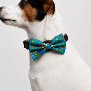 Powerpuff Girls Bowtie