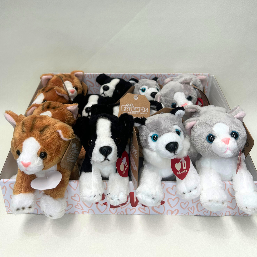 Plush Pups & Cats
