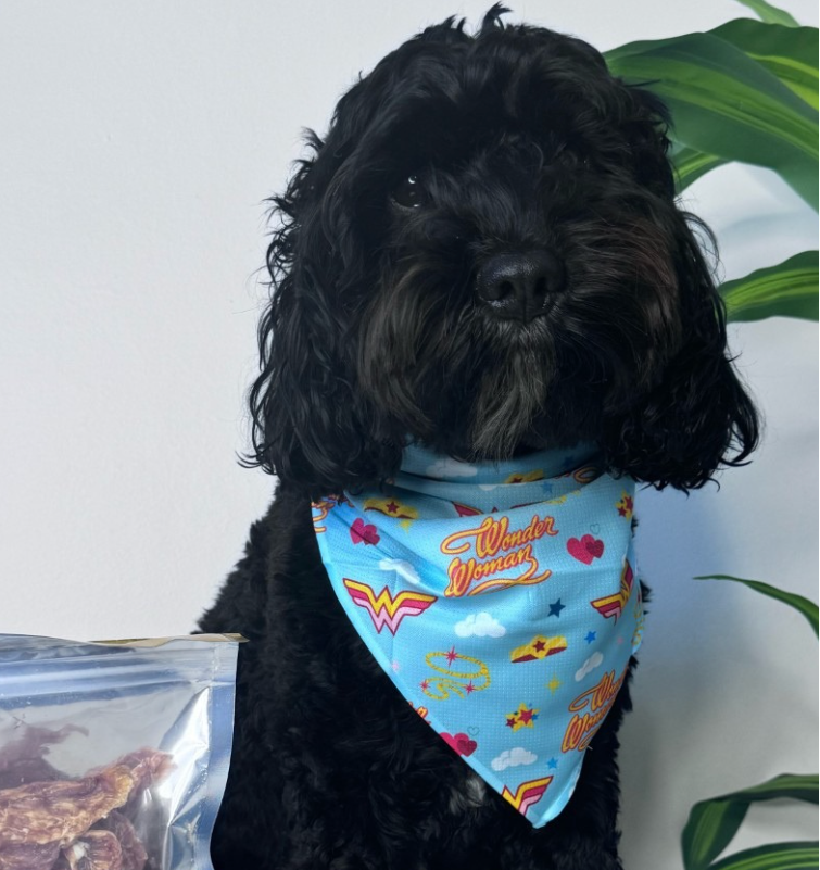 Wonder Woman Bandana