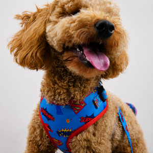 Superman Harness