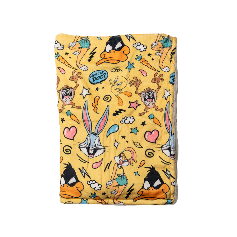 Looney Tunes Blanket