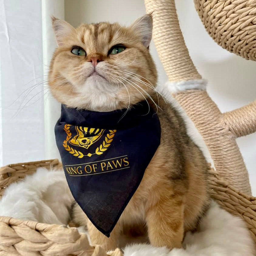 King of Paws Bandana