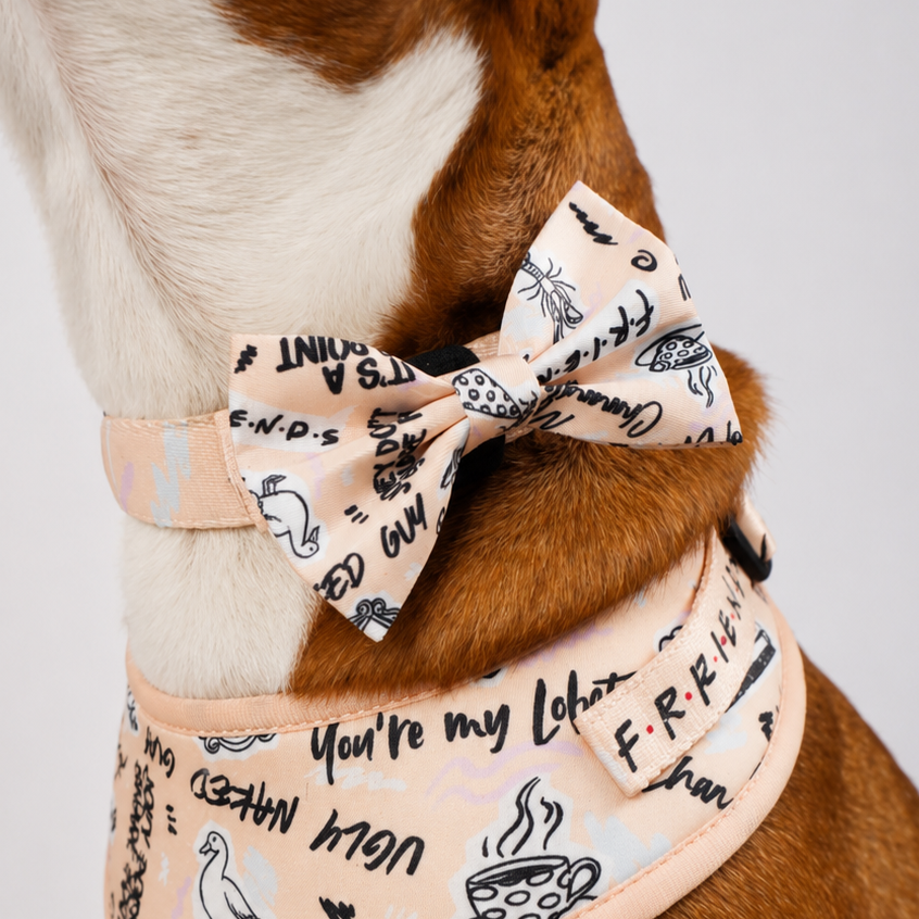 Friends Dog Bow Tie