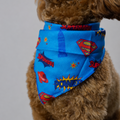 Superman Bandana
