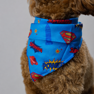 Superman Bandana