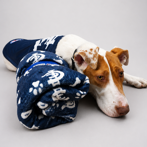 AFL Blanket