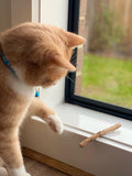 Catnip Sticks