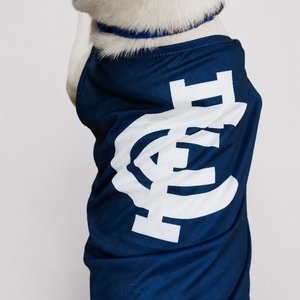 AFL Jerseys