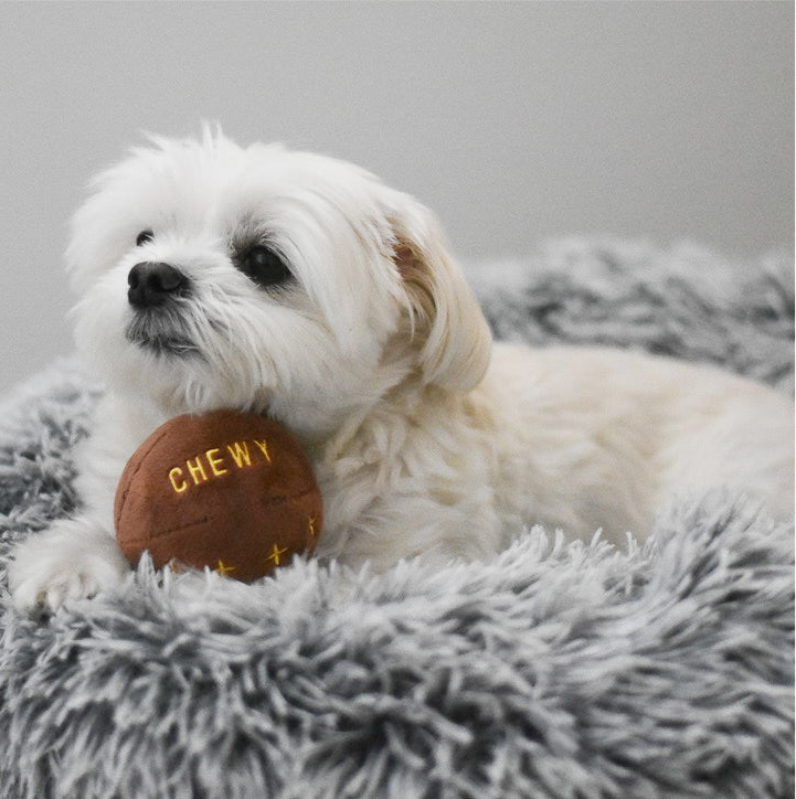 Chewy Vuiton Toy Ball
