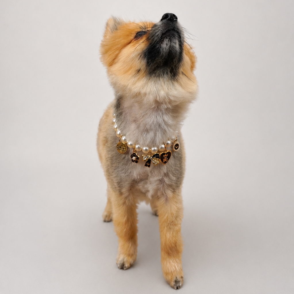 Charming Noir Necklace