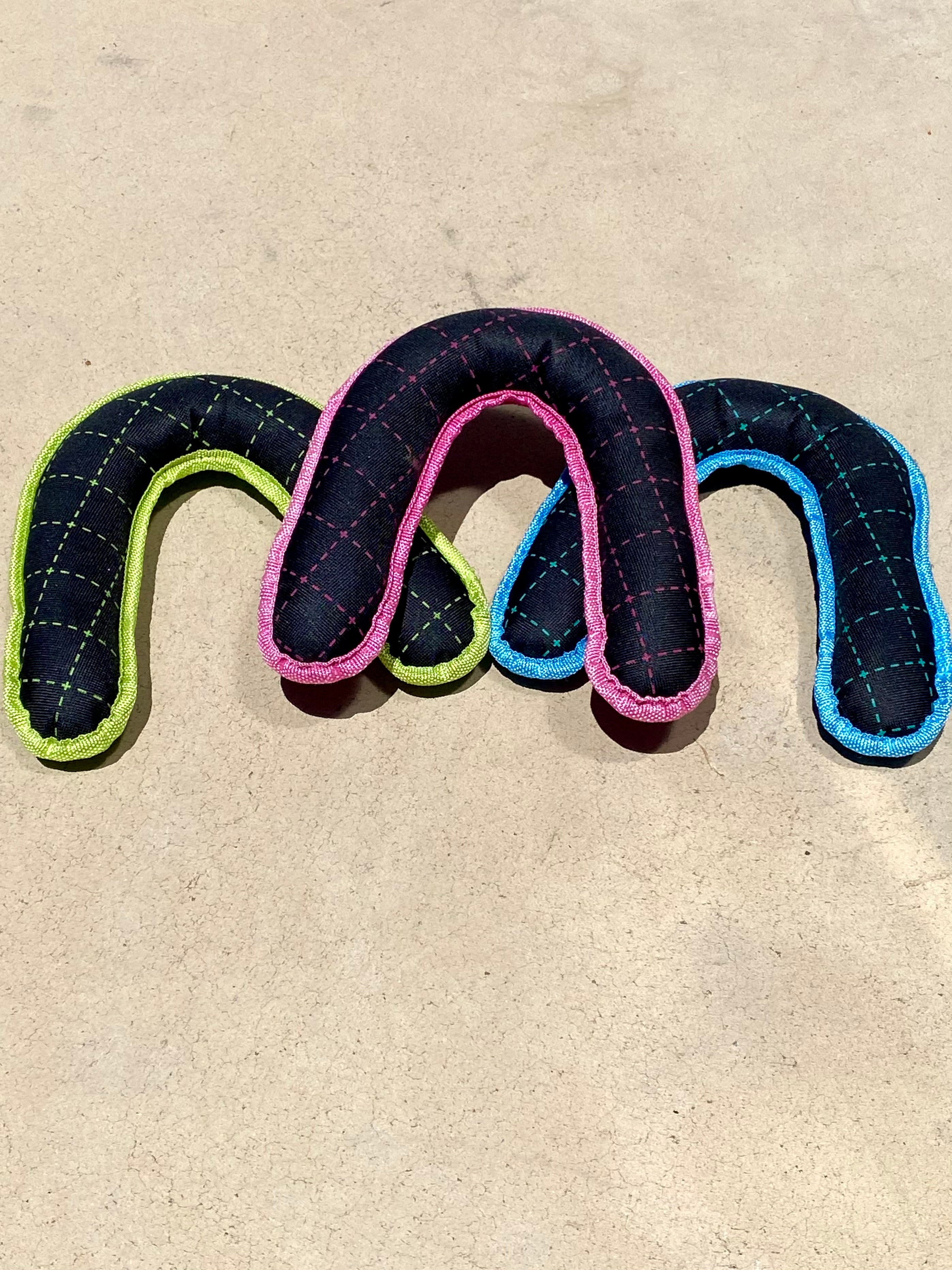 Boomerang Frisbee