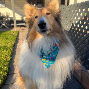 Powerpuff Girls Bandana