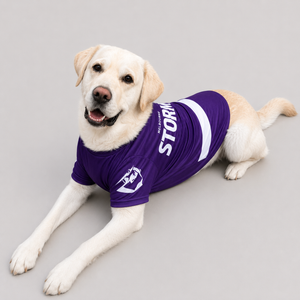 NRL Jerseys