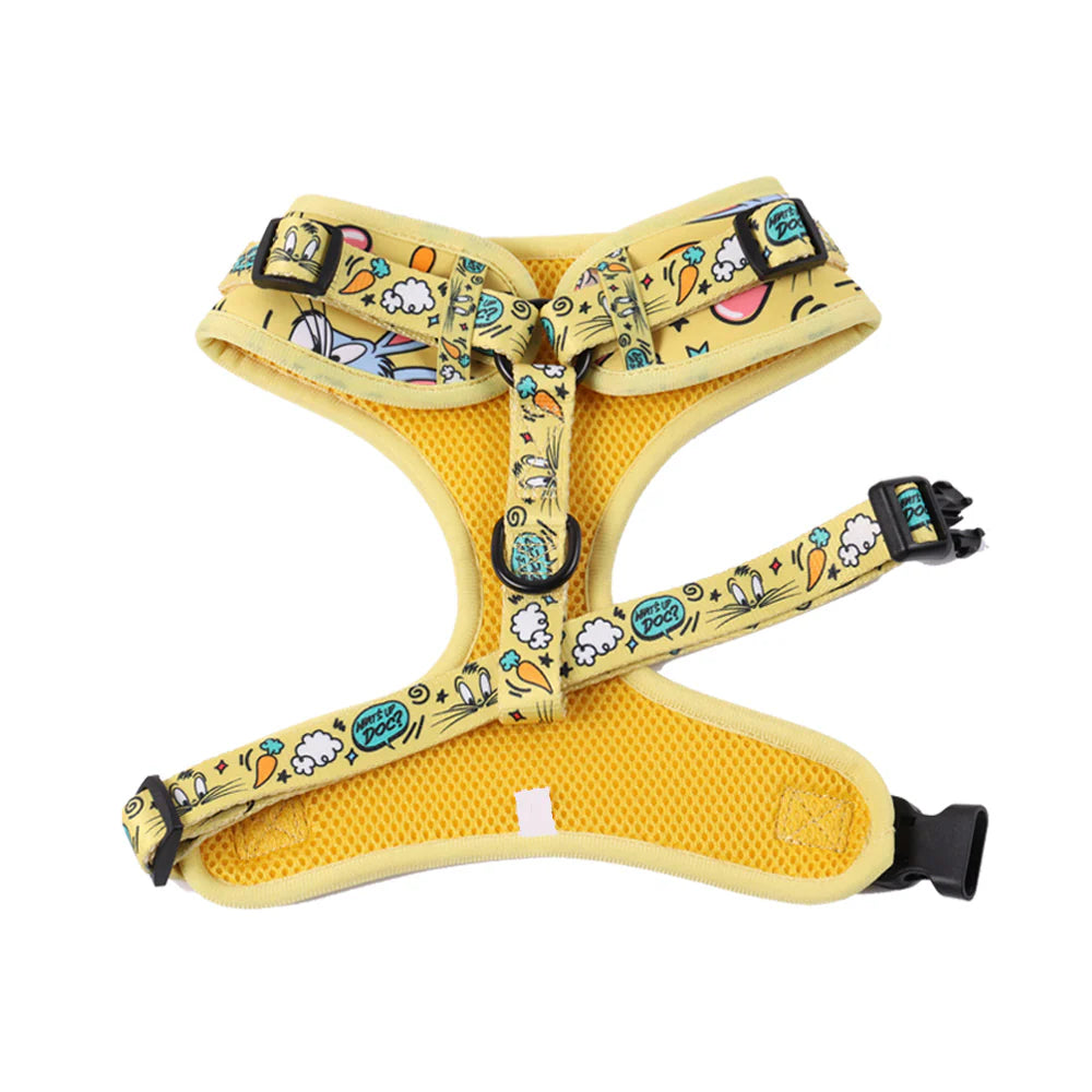 Looney Tunes Harness