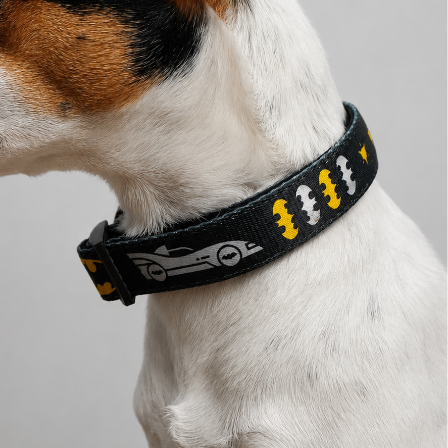 Batman Collar