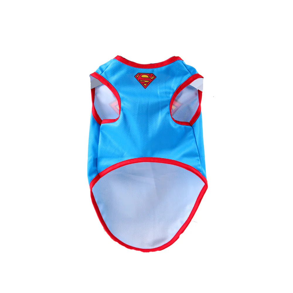 Superman Jersey