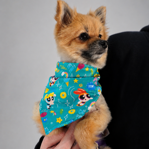Powerpuff Girls Bandana